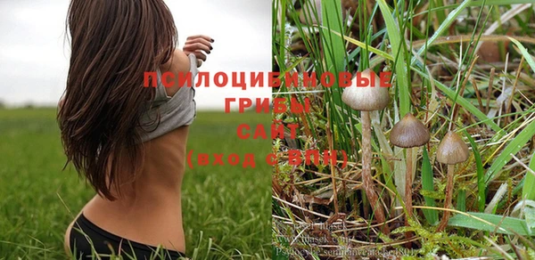 хмурый Михайловка